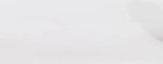 Didriksons TANJA WNS PARKA 6 Dames Outdoor Parka - Maat 44 4 Didriksons TANJA WNS PARKA 6 Dames Outdoor Parka - Maat 44 - Afbeelding 2