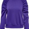 ONLY ONLEVERY L/S RUSHED SWEATSHIRT PNT Dames Trui - Maat S
