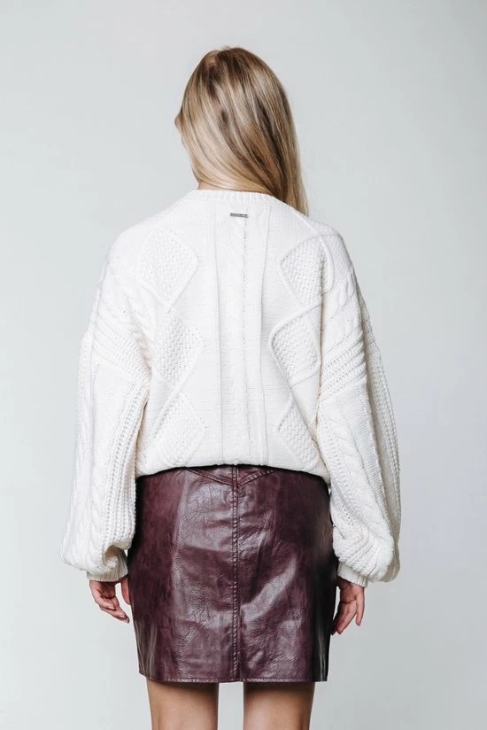 Colourful Rebel Dolizi Rok Rood Dames - A-lijn - Leer - XL 11 Colourful Rebel Dolizi Rok Rood Dames - A-lijn - Leer - XL - Afbeelding 9